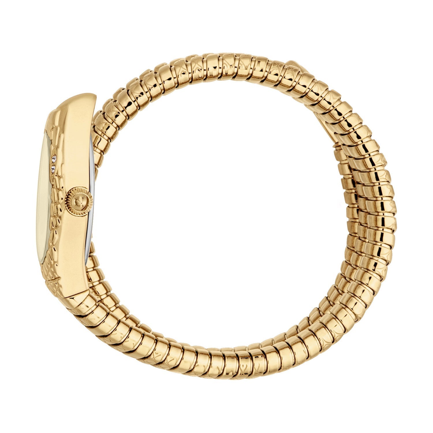 Just Cavalli Women's Watch - JC1L374M0025