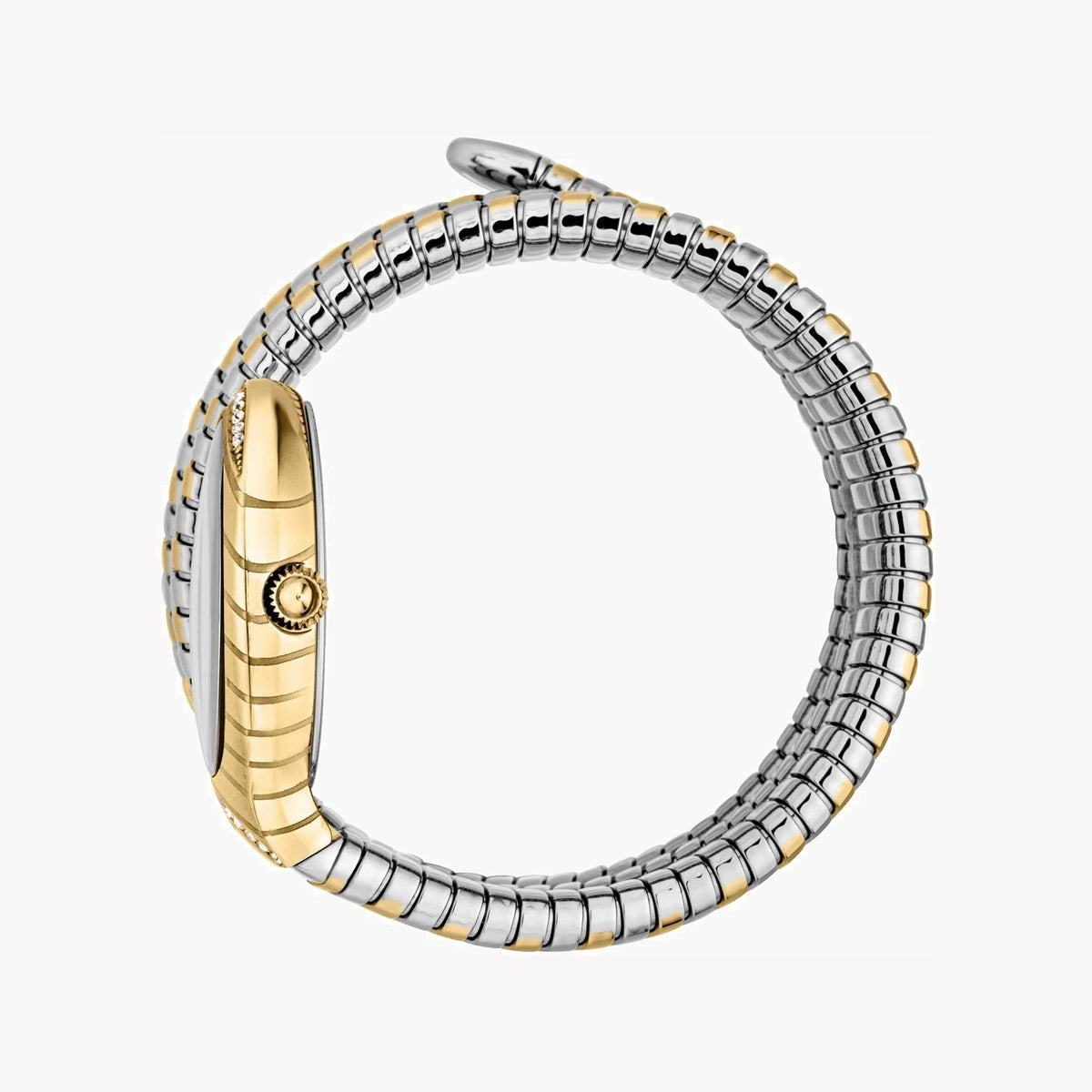 JUST CAVALLI Snake Women's Watch - JC1L248M0055