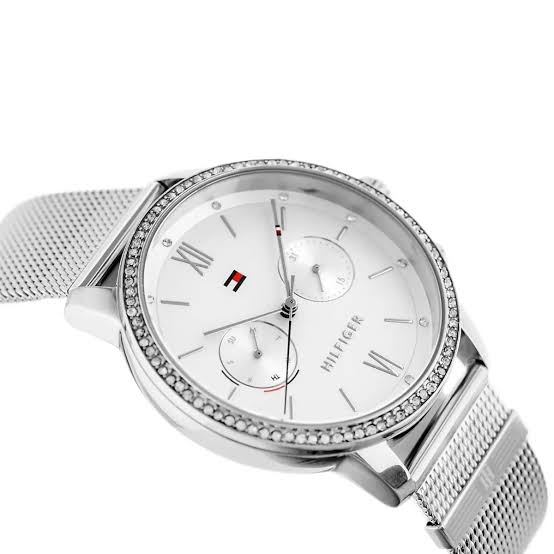 Tommy Hilfiger Blake women's watch - 1782301